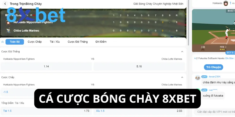 Thể thao 8xbet - Hành trình cá cược thể thao đỉnh cao 4 Cá cược bóng chày sở hữu lượng người chơi ổn định